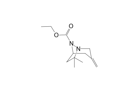 1,8-Diaza-7,7-dimethyl-3-methylenebicyclo[3.2.1]octane-8-carboxylic acid ethyl ester