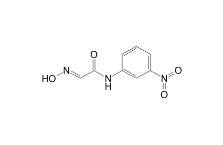 (2E)-2-hydroximino-N-(3-nitrophenyl)acetamide