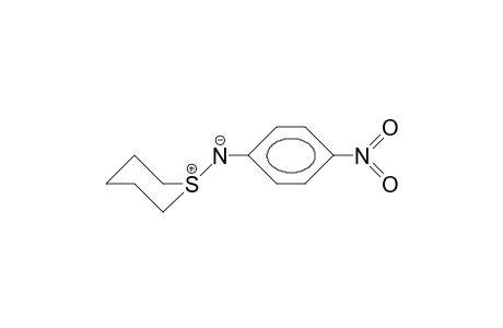 N-(4-Nitrophenyl)-thiane-1-imide