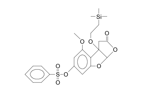6-Benzenesulfonyloxy-4-methoxy-3a-(2-trimethylsilyl-eth-1-oxy)-3a,8a-dihydro-furo(2,3-B)benzofuran-2(3H)-one