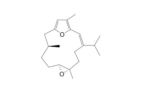 CRASSARINE-H