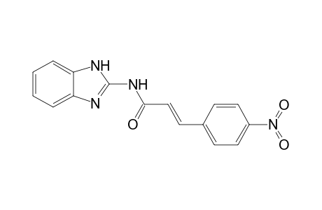(E)-N-(1H-benzimidazol-2-yl)-3-(4-nitrophenyl)-2-propenamide