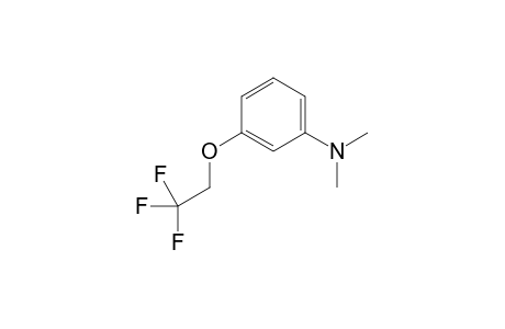 N,N-dimethyl-3-(2,2,2-trifluoroethoxy)aniline