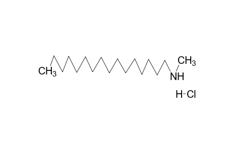 N-methylhexadecylamine, hydrochloride