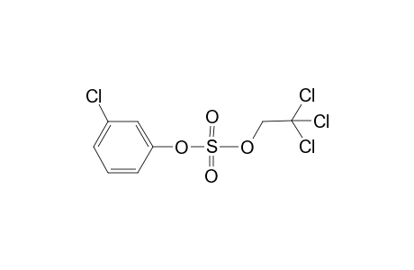 3-Chlorophenyl (2,2,2-trichloroethyl) sulfate