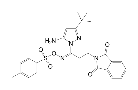 5-Amino-3-(t-butyl)-1-[3'-phthalimido-1'-(p-tosylimino)propyl]-1H-pyrazole
