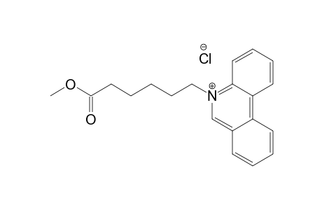 N-[5-(Methoxycarbonyl)pentyl]phenanthridinium chloride