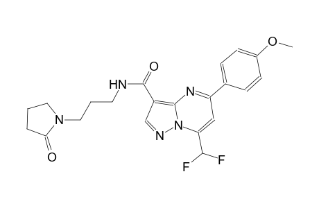 7-(difluoromethyl)-5-(4-methoxyphenyl)-N-[3-(2-oxo-1-pyrrolidinyl)propyl]pyrazolo[1,5-a]pyrimidine-3-carboxamide