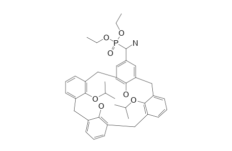 5-(AMINODIETHOXYPHOSPHONYLMETHYL)-25,27-DIPROPOXYCALIX-[4]-ARENE