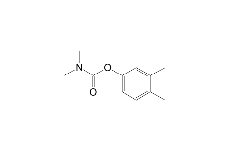 Carbamic acid, N,N-dimethyl-, 3,4-dimethylphenyl ester