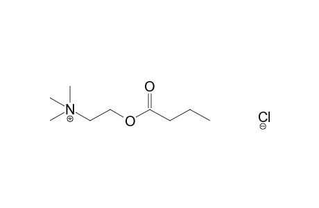 choline chloride, butyrate