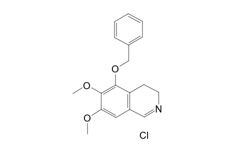 5-Benzyloxy-6,7-dimethoxy-3,4-dihydroisoquinolin-hydrochloride