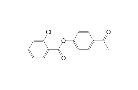 4-Acetylphenyl 2-chlorobenzoate