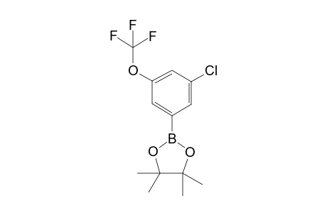 2-(3-Chloro-5-(trifluoromethoxy)phenyl)-4,4,5,5-tetramethyl-1,3,2-dioxaborolane