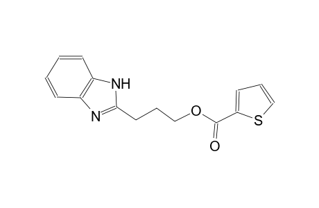 3-(1H-Benzimidazol-2-yl)propyl 2-thiophenecarboxylate
