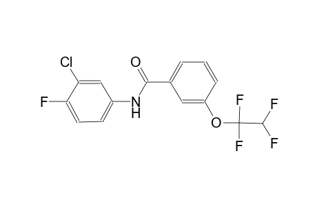 N-(3-chloro-4-fluorophenyl)-3-(1,1,2,2-tetrafluoroethoxy)benzamide