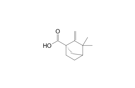 (+)-(1S)-3,3-Dimethyl-2-methylene-1-norbornanecarboxylic acid