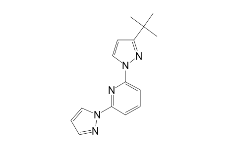 2-(3-tert-butylpyrazol-1-yl)-6-pyrazol-1-ylpyridine
