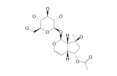 6-O-ACETYLMIOPOROSIDE;(1R,4AS,5R,7R,7AR)-1-[(BETA-D-GLUCOPYRANOSYL)-OXY]-1,4A,5,6,7,7A-HEXAHYDRO-7-HYDROXY-7-METHYL-CYCLOPENTA-[C]-PYRAN-6-YL-ACETATE