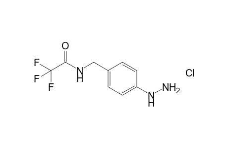 2,2,2-Trifluoro-N-(4-hydrazinobenzyl)acetamide Hydrochloride