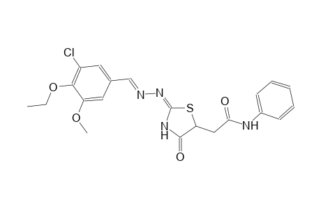 2-{(2E)-2-[(2E)-2-(3-chloro-4-ethoxy-5-methoxybenzylidene)hydrazono]-4-oxo-1,3-thiazolidin-5-yl}-N-phenylacetamide