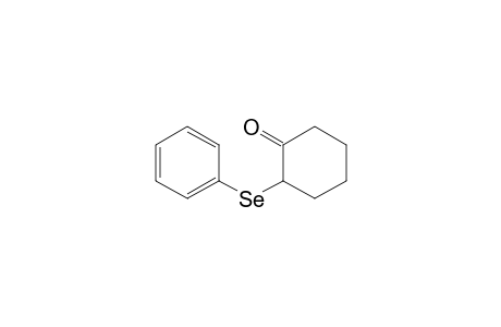 Cyclohexanone, 2-(phenylseleno)-