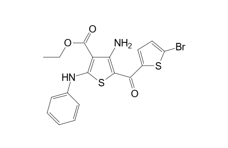 Ethyl 4-amino-5-(5-bromothiophene-2-carbonyl)-2-(phenylamino)thiophene-3-carboxylate