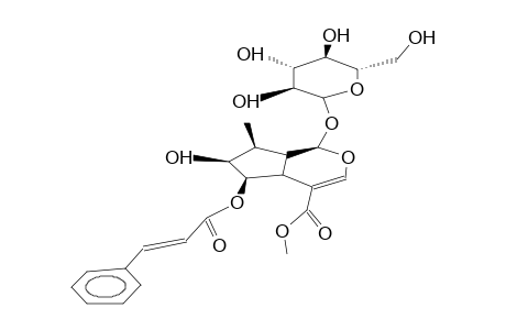 6-O-trans-CINNAMOYL-6B-HYDROXYLOGANIN