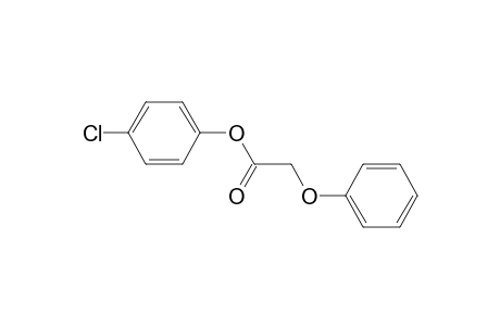 (4-chlorophenyl) 2-phenoxyacetate