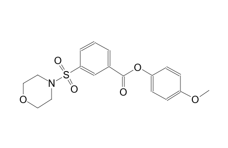 benzoic acid, 3-(4-morpholinylsulfonyl)-, 4-methoxyphenyl ester