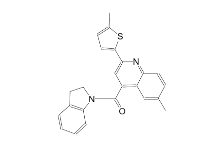 4-(2,3-dihydro-1H-indol-1-ylcarbonyl)-6-methyl-2-(5-methyl-2-thienyl)quinoline