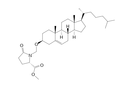 1-[3'-.beta.-Choles-5'-en-3'-oxymethyl]methyl-(5S)-(R)-2-pyrrolidone-5-carboxylate