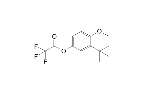 3-(Tert-butyl)-4-methoxyphenyl 2,2,2-trifluoroacetate