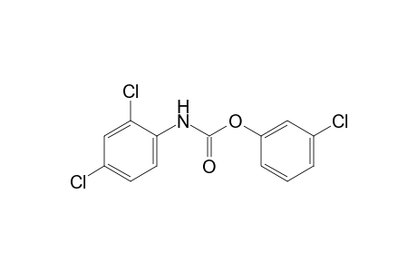 2,4-dichlorocarbanilic acid, m-chlorophenyl ester