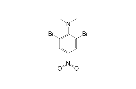 2,6-DIBROMO-N,N-DIMETHYL-4-NITRO-ANILINE