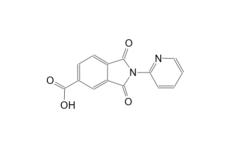 1H-isoindole-5-carboxylic acid, 2,3-dihydro-1,3-dioxo-2-(2-pyridinyl)-
