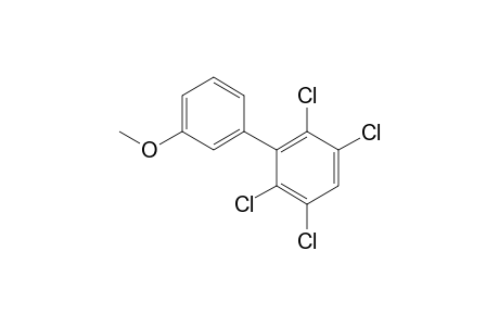 3-Hydroxy-2',3',5',6'-tetrachlorobiphenyl, methyl ether