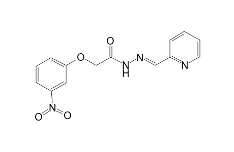 2-(3-Nitrophenoxy)-N'-[(E)-2-pyridinylmethylidene]acetohydrazide