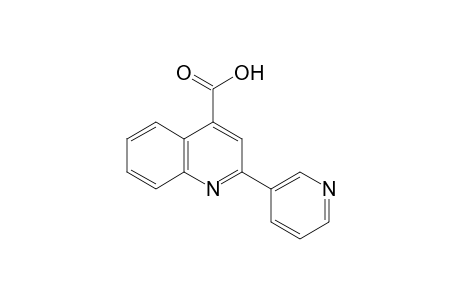 2-(3-pyridyl)cinchoninic acid