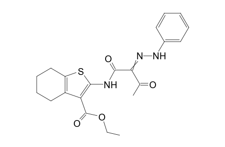N-(3-Ethoxycarbonyl-4,5,6,7-tetrahydrobenzo[b]thien-2-yl)-2-phenylhydrazono-3-oxobutanamide