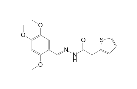 2-thiopheneacetic acid, 2-[(E)-(2,4,5-trimethoxyphenyl)methylidene]hydrazide