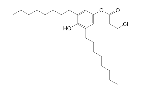 Propanoic acid, 3-chloro-, 4-hydroxy-3,5-dioctylphenyl ester