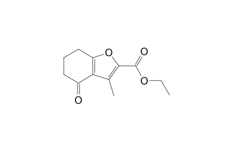 Ethyl 3-methyl-4-oxo-4,5,6,7-tetrahydrobenzofuran-2-carboxylate
