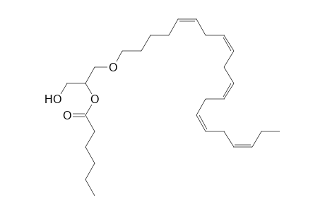 DG O-20:5_6:0