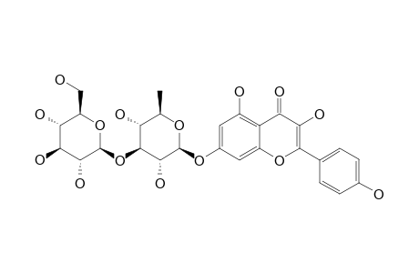 CRENULOSIDE;KAEMPFEROL-7-O-BETA-D-GLUCOPYRANOSYL-(1->3)-ALPHA-L-RHAMNOPYRANOSIDE