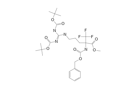 2-(benzyloxycarbonylamino)-5-[bis(tert-butoxycarbonylamino)methyleneamino]-2-(trifluoromethyl)valeric acid methyl ester