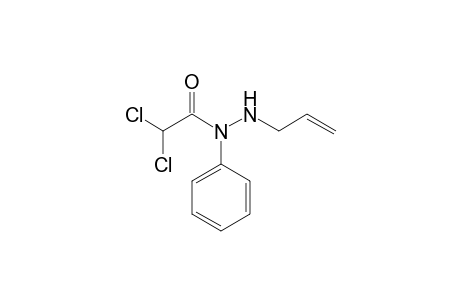 N-Allyl-N-phenyldichloroacetohydrazide