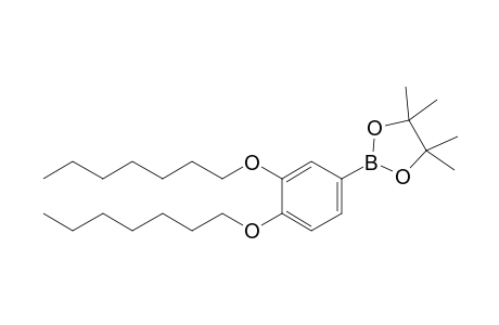 2-[3,4-Bis(heptyloxy)phenyl]-4,4,5,5-tetramethyl-1,3,2-dioxaborolane