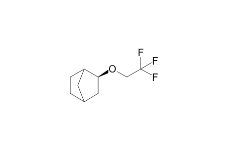 2-exo-(2,2,2-Trifluoroethoxy)norbornane