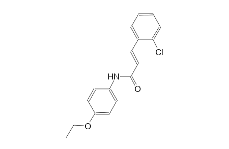 (2E)-3-(2-chlorophenyl)-N-(4-ethoxyphenyl)-2-propenamide